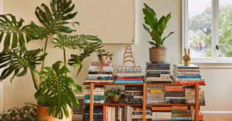a large monstera plant in a pot on the floor next to a bookcase in a home office.