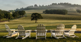 Adirondack chairs at Stoller Family Estate in Willamette Valley, Oregon