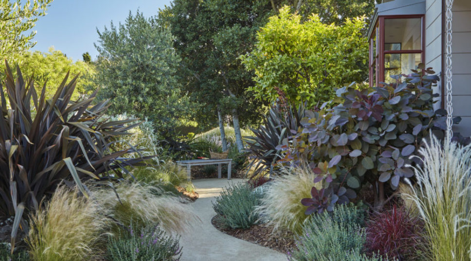 This Garden’s Secret (and Best) Feature Is Actually Hidden in Plain Sight