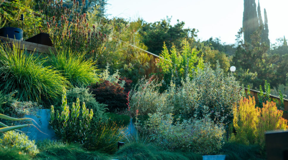 A Playhouse, Rope Climb, and Sunset Views: This Sustainable Garden Has It All