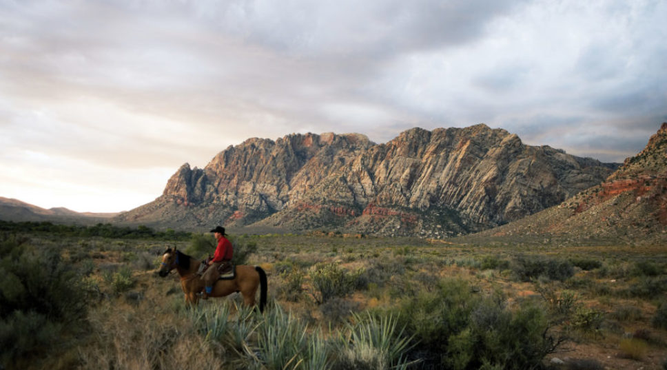 These Dude Ranches Are Basically ‘Yellowstone’ In Real Life
