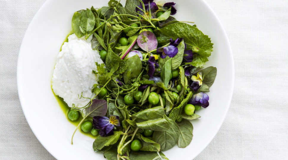 11 Salad Recipes That Put the Taste of Spring Right onto Your Plate