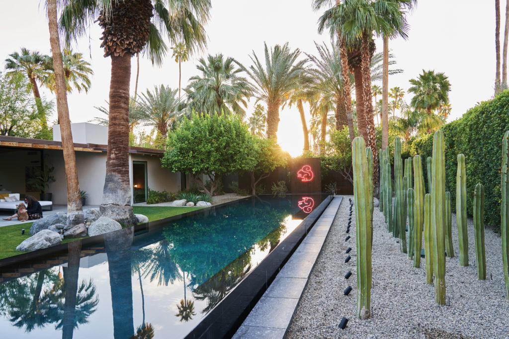 palm trees surrounding Palm Springs pool