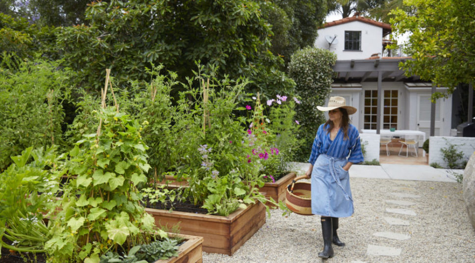 How to Grow the Best Vegetables You've Ever Seen