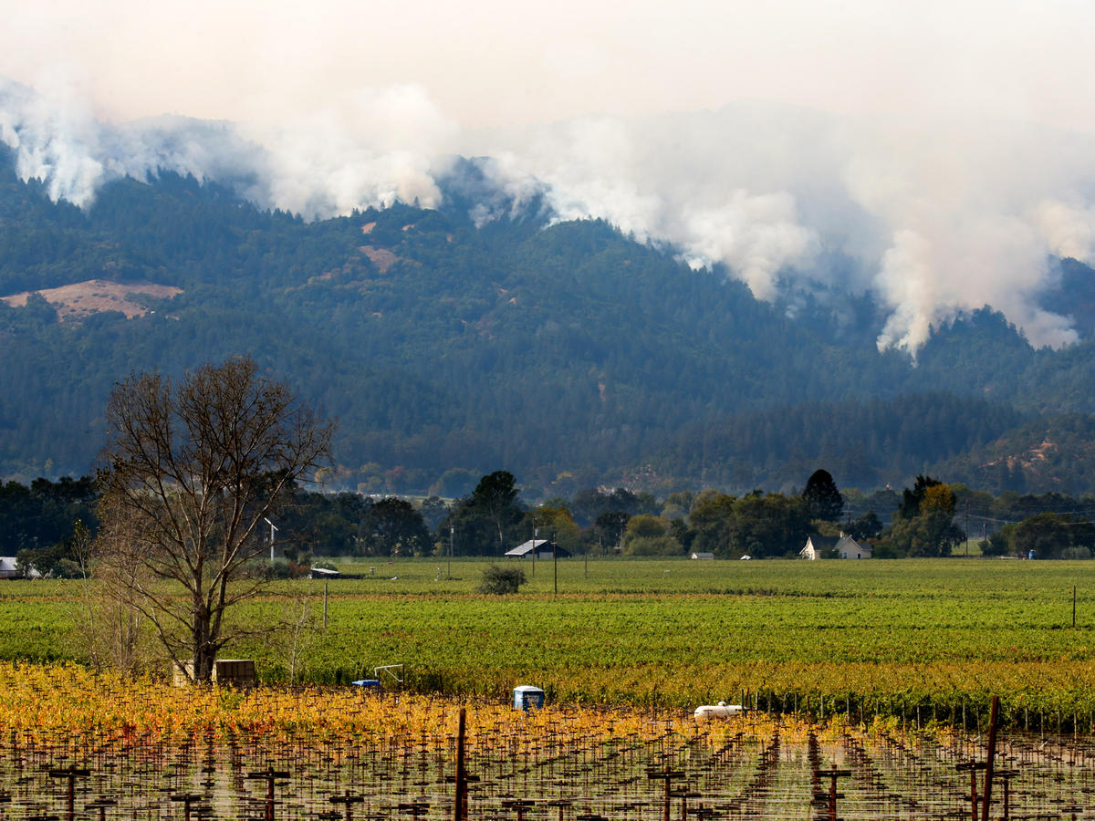 How the Northern California Wildfires Could Change the Wine Industry Forever